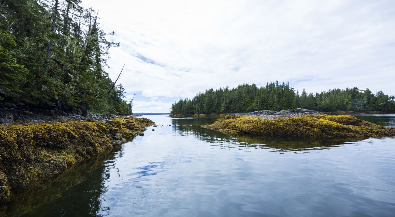 Landscape view of a large body of water with a rocky outcropping in the center and rocky, forested shores close on the left and in the distance.