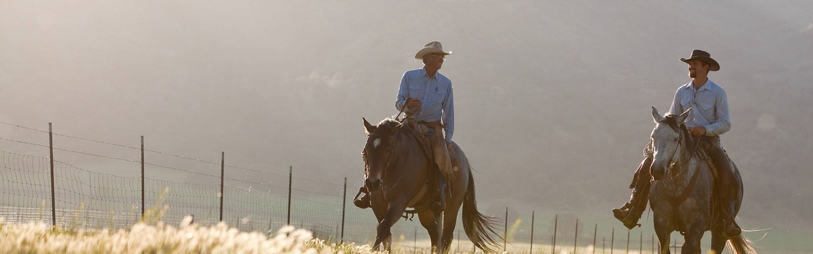 Two men in cowboy hats riding horses on vast grasslands.