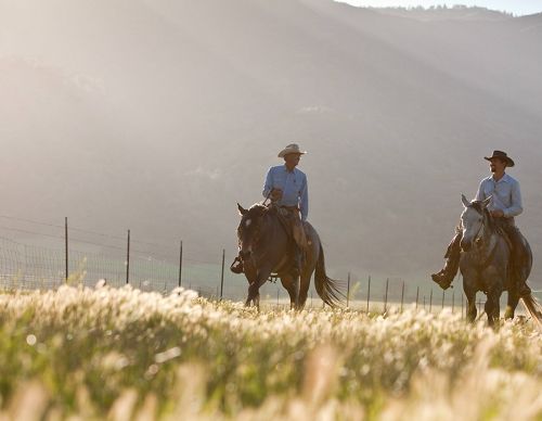 Two farmers on horses riding among crops.