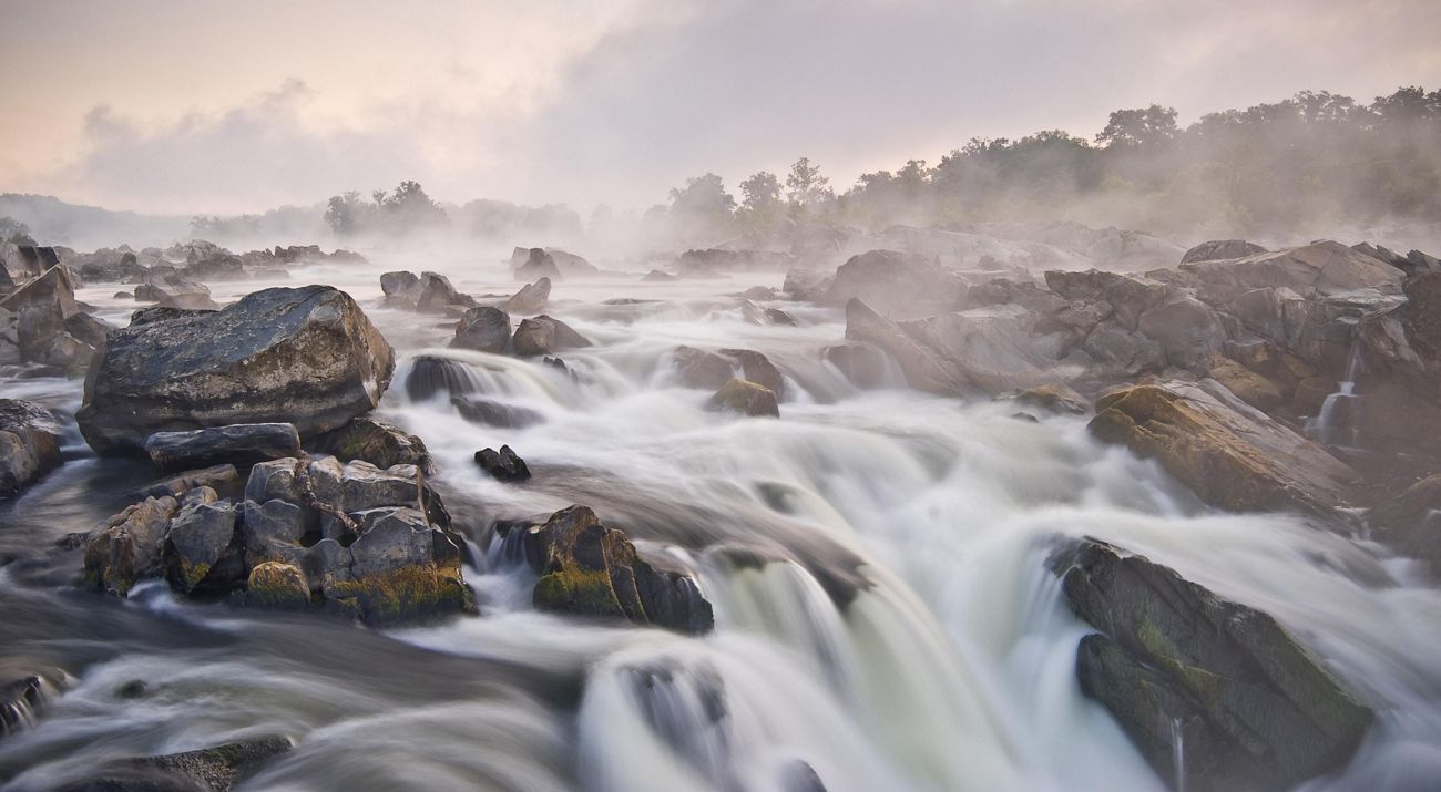 The Potomac River cascades over a series of low rocky falls in the Potomac Gorge. White water swirls on the large boulders that protrude from the water. Tall trees line the river bank.