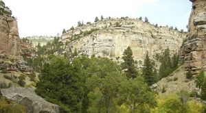 Trees framed by steep mountain cliffs.