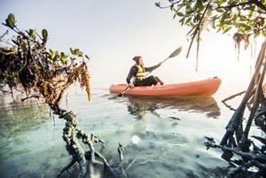 Restoring mangroves, like those pictured here, in Biscayne National Park, can help protect coastal communities in South Florida.