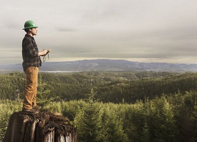 A man overlooks a forest.