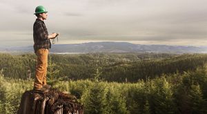 Beyond The Timber Wars The Nature Conservancy