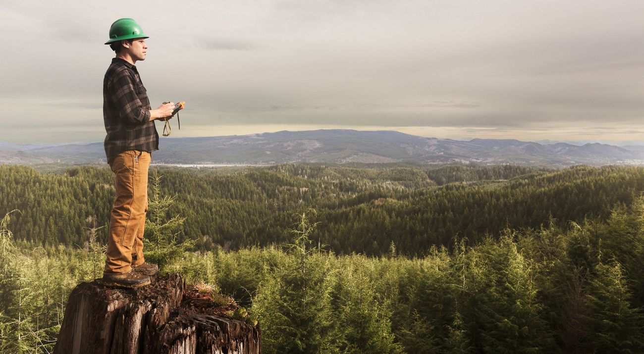 Forester Kyle Smith looks out over the forest at Ellsworth Creek Preserve