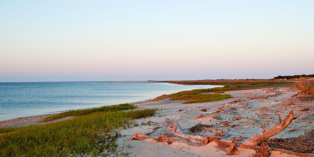 Beach on the north end Little St Simons Island