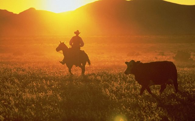 rancher on horse at sunset