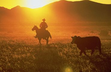 rancher on horse at sunset
