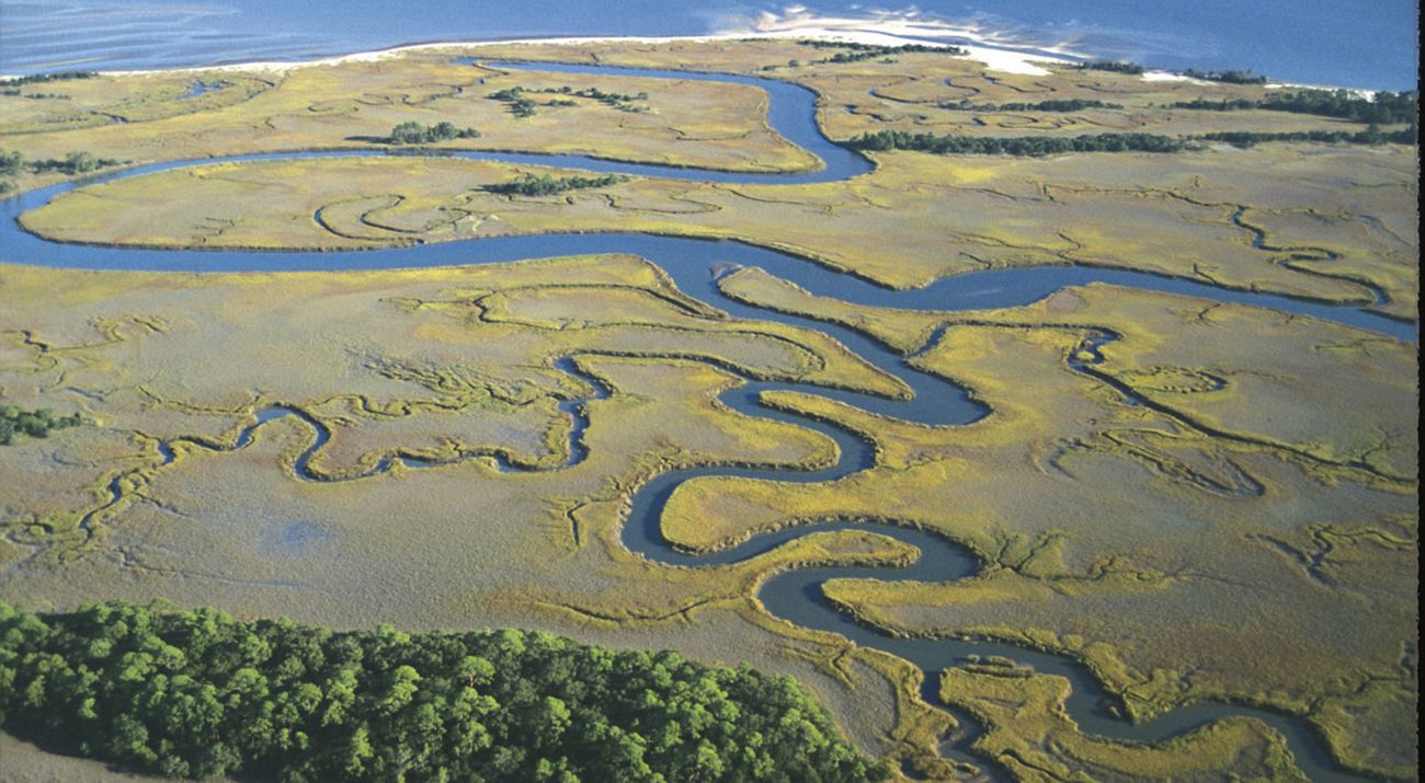 Aerial view of a winding river delta.