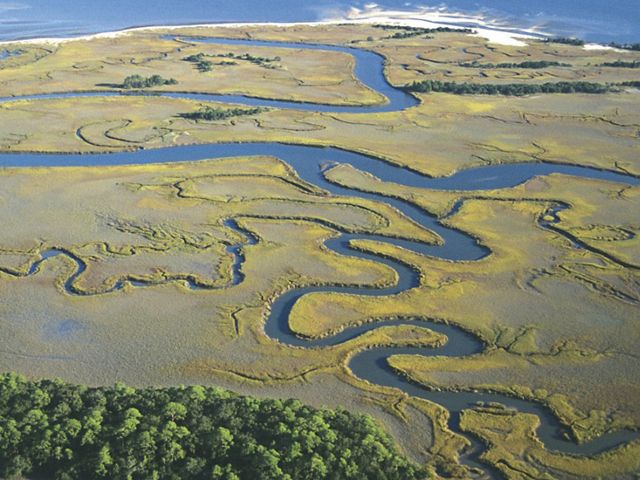 Aerial view of twisting streams on Otter Island. This is an example of a coastal wetland area, which supports a large about of fish species and helps shelter coastal communities from storms- South Carolina has the largest amount of salt marsh area in the East Coast.
