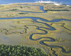 winding river delta