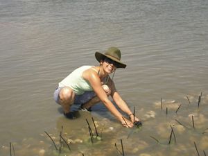 A woman crouching at a shoreline with her hands in the water working on oyster reef restoration. 