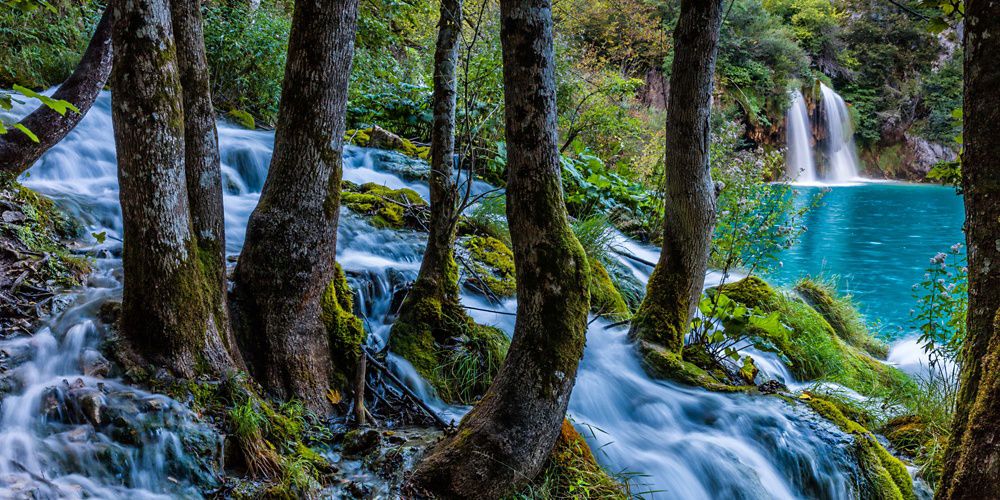 Trees grow in front of emerald green rivers and waterfalls.
