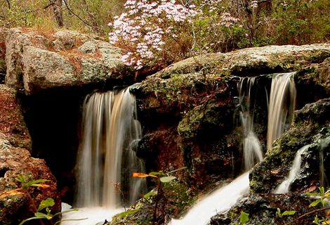 Waterfalls cascade from the Broxton Rocks with flowering trees on the rocks and a pool below.