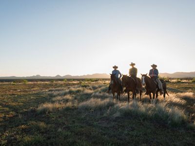 Three individuals wearing cowboys hats sit on horses in the desert.