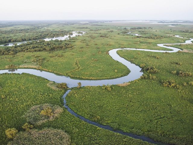 River bend in marsh