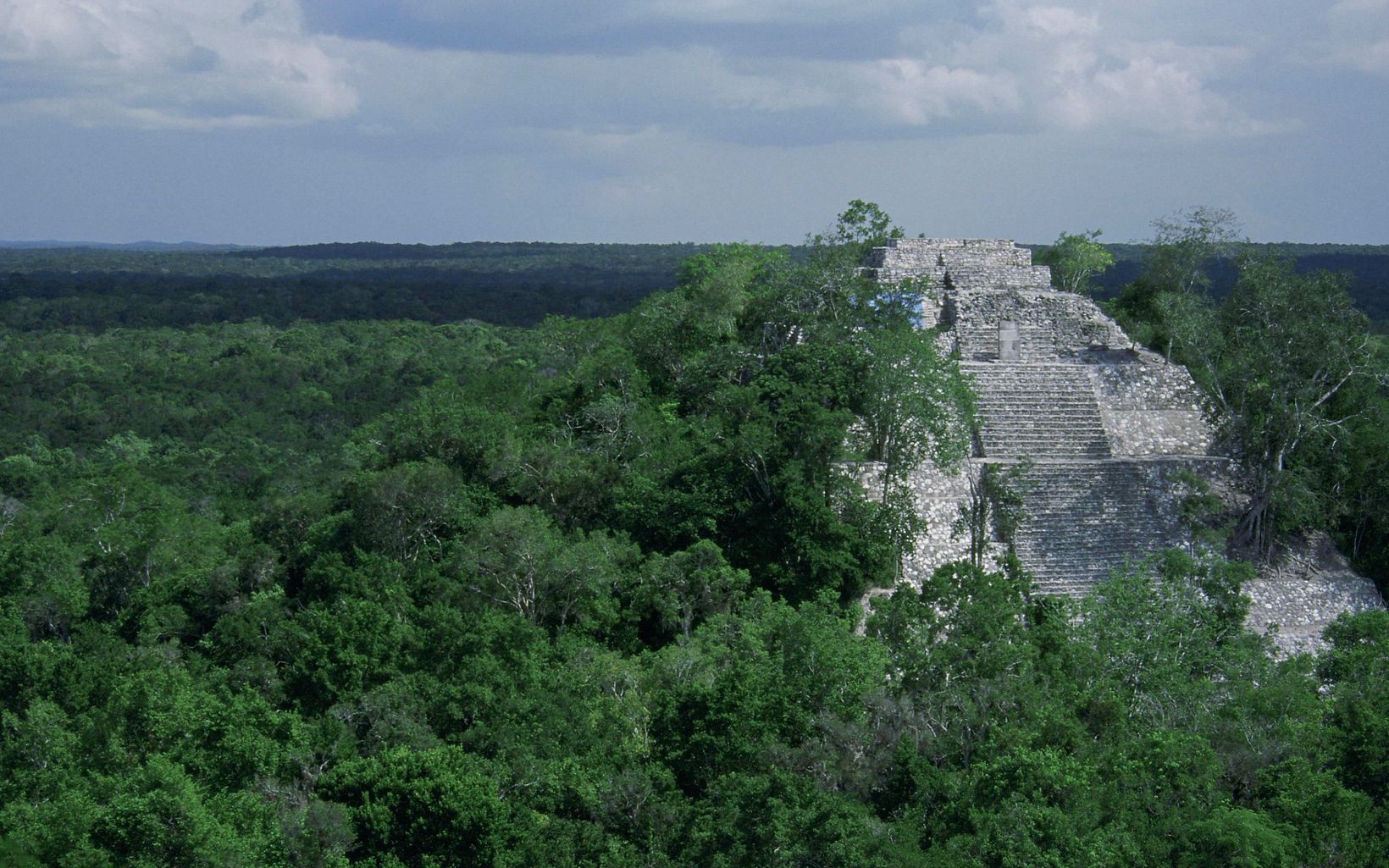 Partially restored Maya temple ruins rise above the Maya forest canopy in Mexico's Calakmul Biosphere Reserve