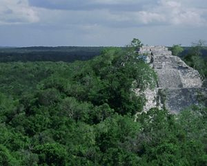Partially restored Maya temple ruins rise above the Maya forest canopy in Mexico's Calakmul Biosphere Reserve