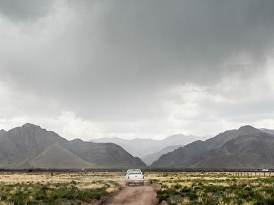 Volcanic mountains act as a backdrop to desert grasslands