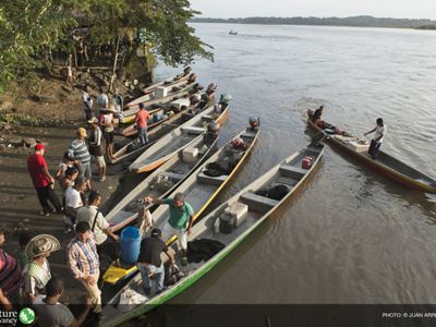 on the Magdalena River in Puerto Berrio, Antioquia, Colombia.