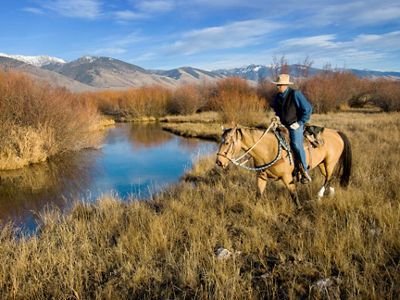 A man on horseback walks through brown grasses and approaches a narrow river; a mountain range is in the distance.