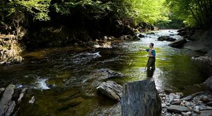 Man fishing in a fast moving creek.