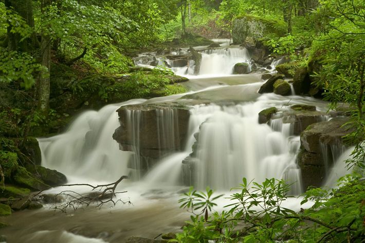 small waterfalls surrounded by green trees