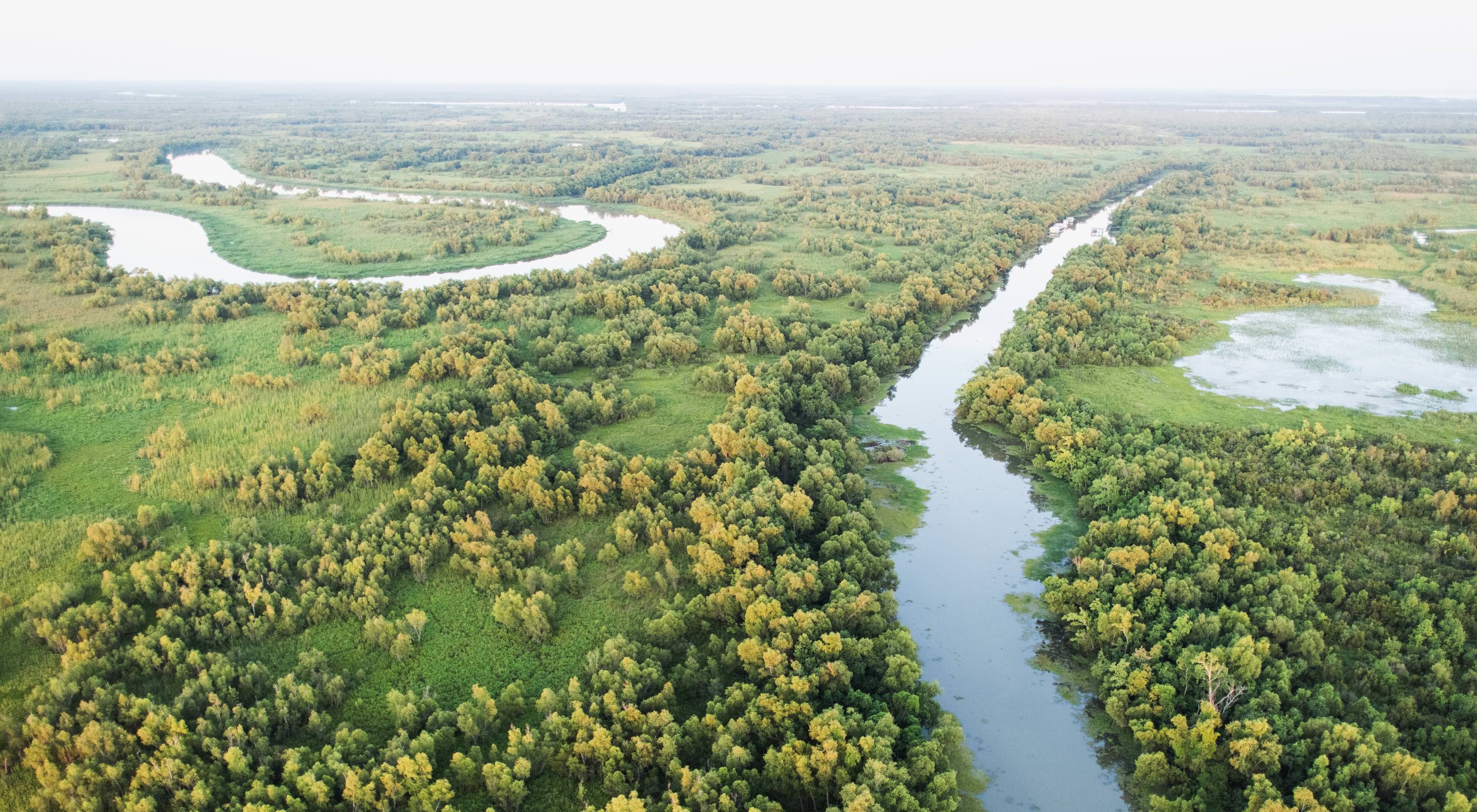Aerial photo of a marsh and river system near the Wax Lake Delta, Louisiana. 