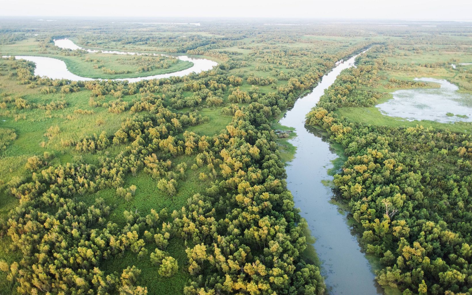 Wax Lake Delta Aerial photo of a marsh and river system near the Wax Lake Delta, Louisiana.  © Carlton Ward Jr.