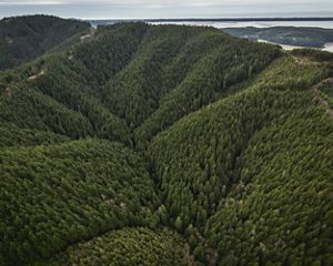 Connected to the Willapa National Wildlife Refuge along more than five miles of Willapa Bay shoreline.