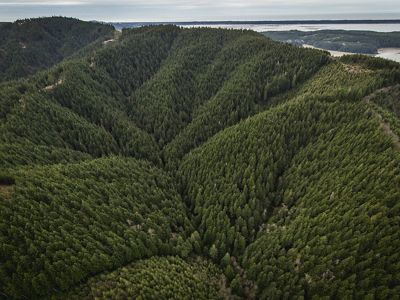 Connected to the Willapa National Wildlife Refuge along more than five miles of Willapa Bay shoreline.