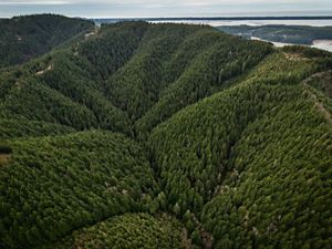 Aerial views of the Ellsworth Creek Preserve showing heavily forested undulating hills and a body of water in the far distance.