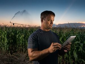 A man holds an iPad in front of his corn field
