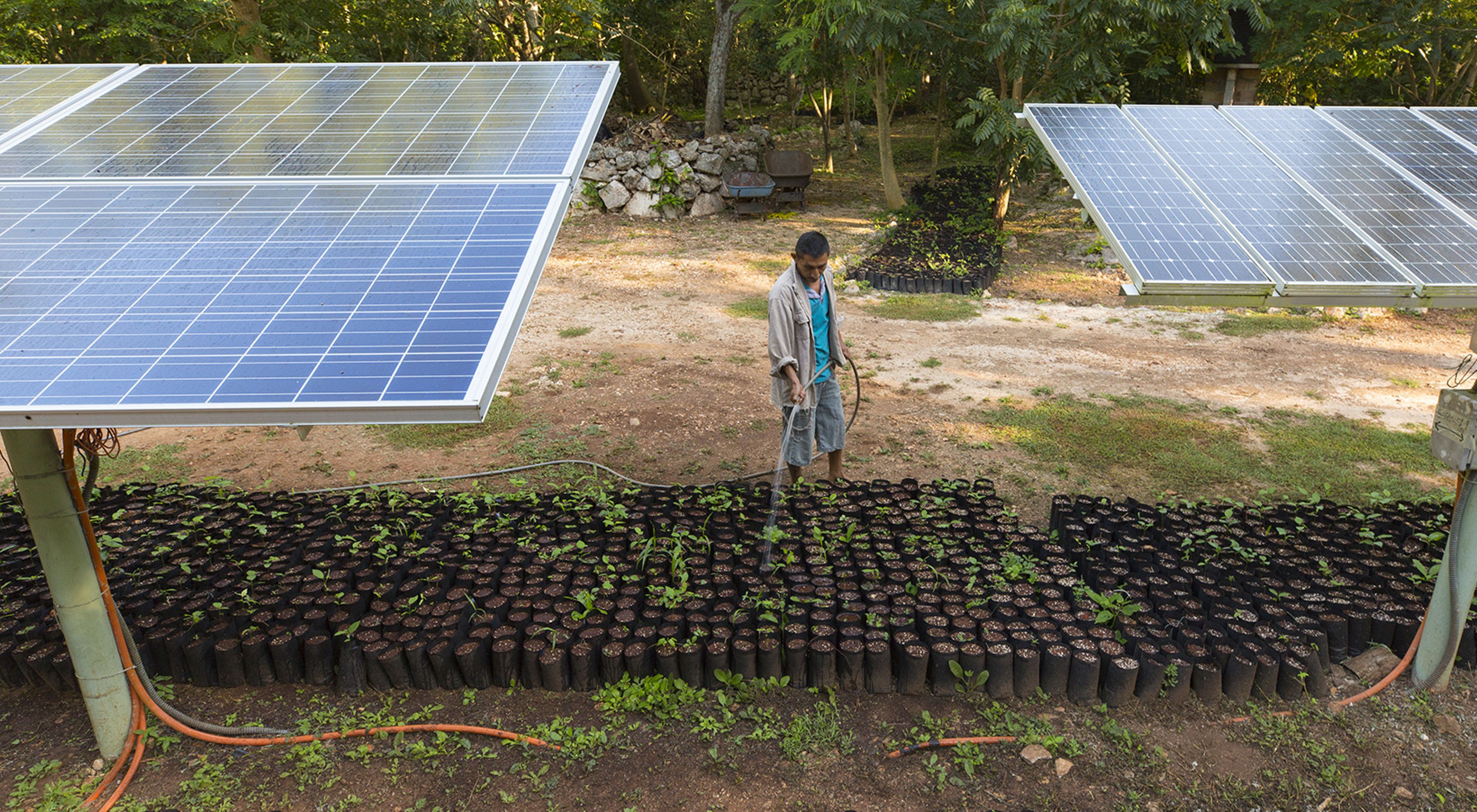 Elizar Samuel Gamara waters the plantings under the solar panels at the Kaxil Kiuic Biocultural Reserve © Erich Schlegel