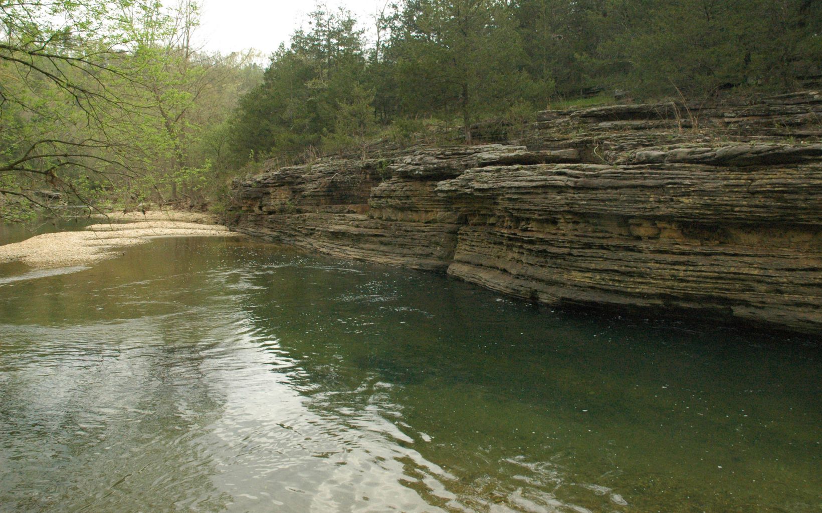 is a focus of the Conservancy's work in the Ozark Highlands in Arkansas.