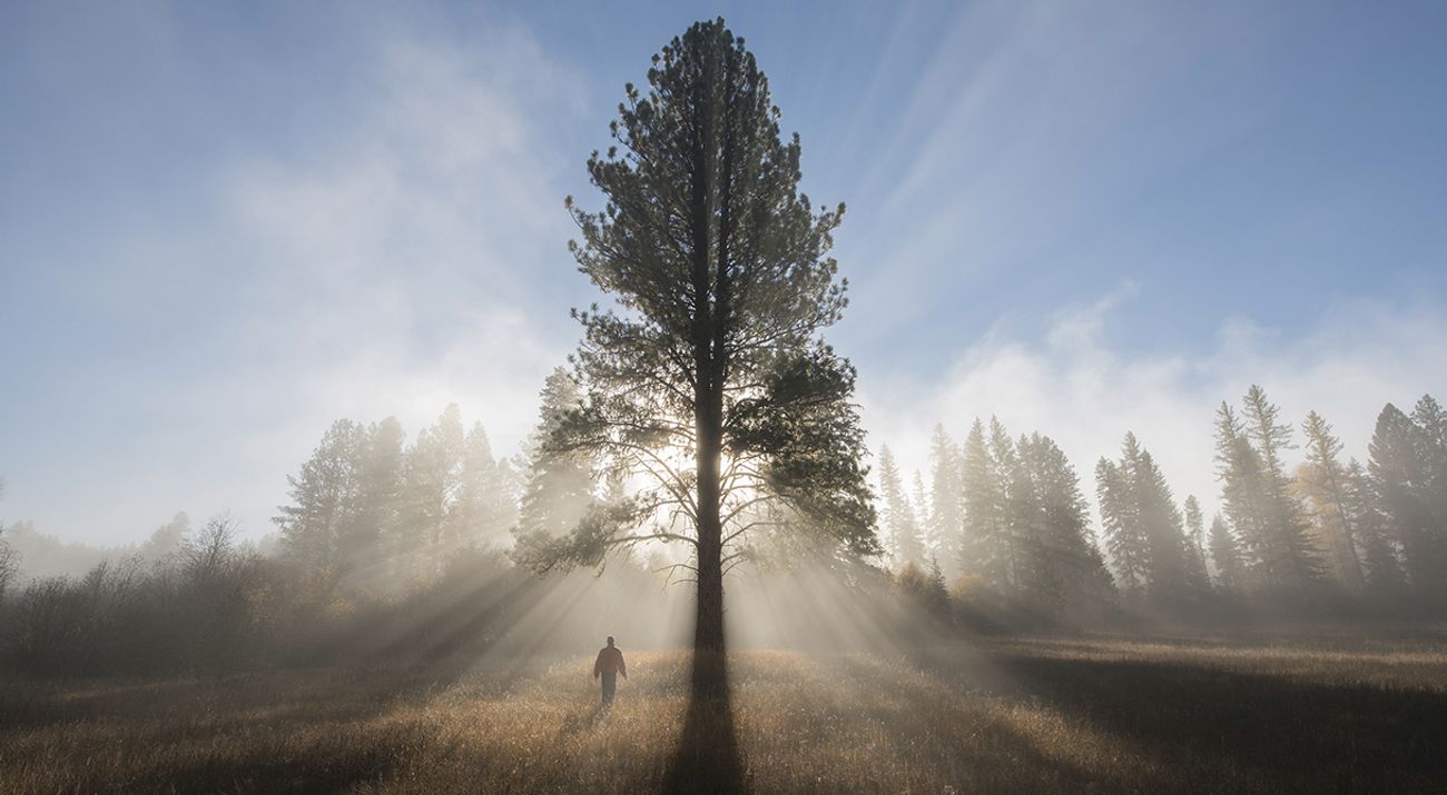 a prescribed fire.