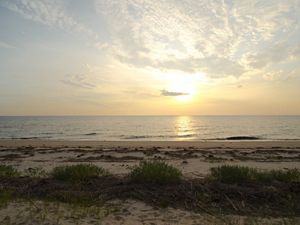 Early morning on the Delaware Bay. In the foreground, the seaweed covered beach ends at the flat, smooth water. The sun is reflected in its surface.