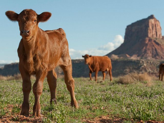 Dugout Ranch in Utah