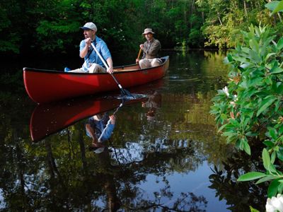 Two men paddle a canoe along a dark tannin stained waterway.