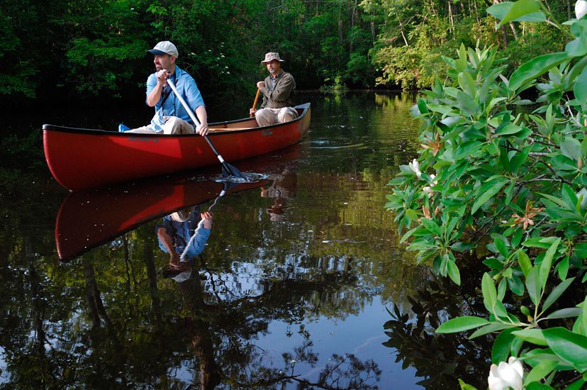 Two men paddle a canoe along a dark tannin stained waterway.