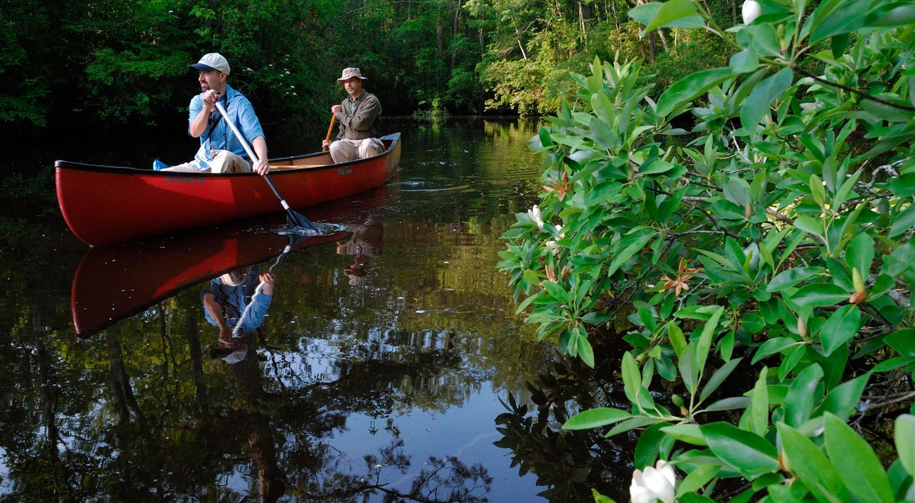 Two men paddle a red canoe through a heavily forested swamp. They and the surrounding trees are reflected in the still water.