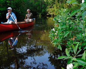 Two men paddle a red canoe through a heavily forested swamp. They and the surrounding trees are reflected in the still water.