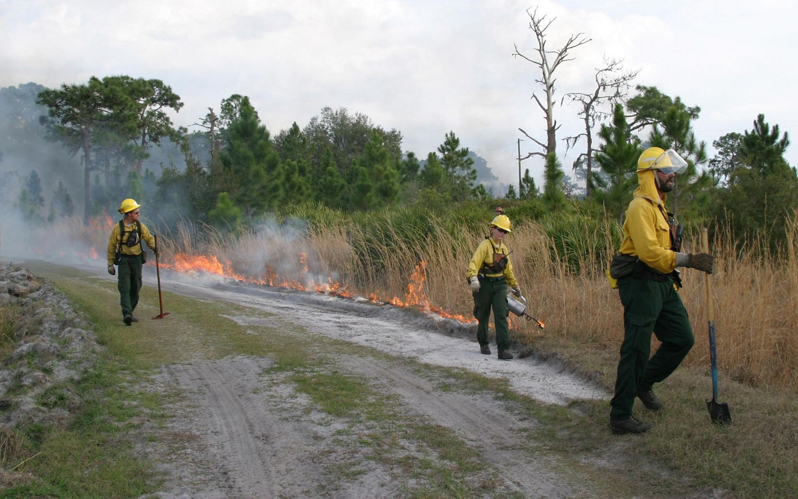 Prescribed fire practitioners walk along a trail at the edge of a prescribed burn and observe the fire at Disney Wilderness Preserve.