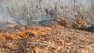 Low intensity burn.