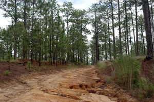 Rough, eroded trail.