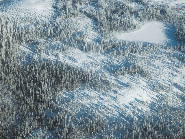 an aerial view of a snow covered forest landscape