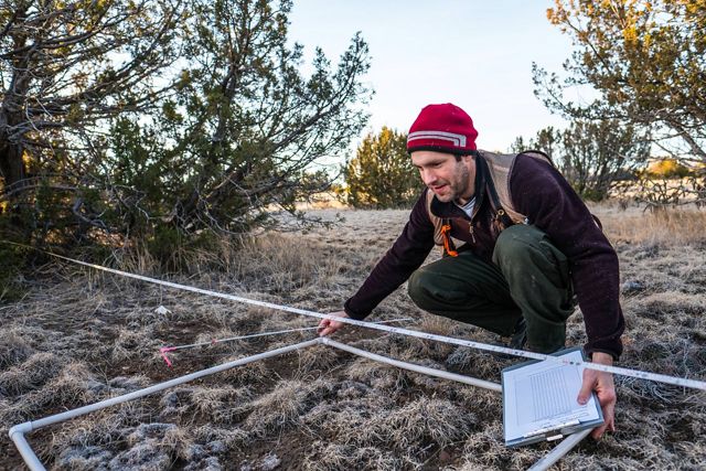A scientist measures fuels in a square meter of terrain in the U.S. southern Rockies.