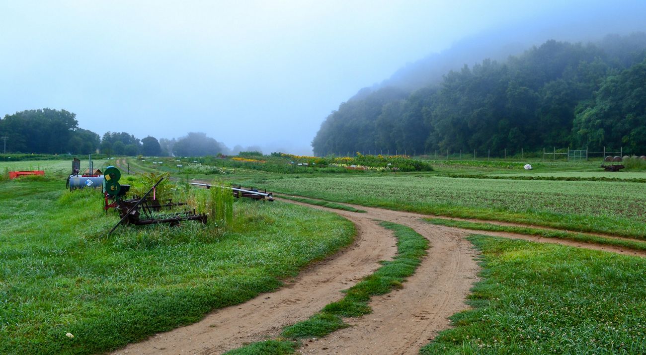 Fog falling onto a grassy landscape on Fort Hill Farm.