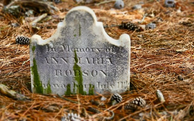 Grave marker in the historic Robson family plot at Maryland's Robinson Neck preserve.
