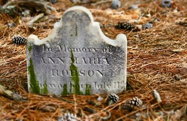 A gravestone is sunk into the ground, partially covered by pinestraw. Part of the epitaph is visible reading, In memory of Ann Maria Robson who was born July 11th 1799.